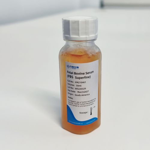 特級(jí)胎牛血清