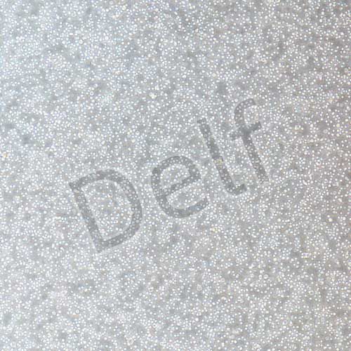 小鼠原代B淋巴細(xì)胞