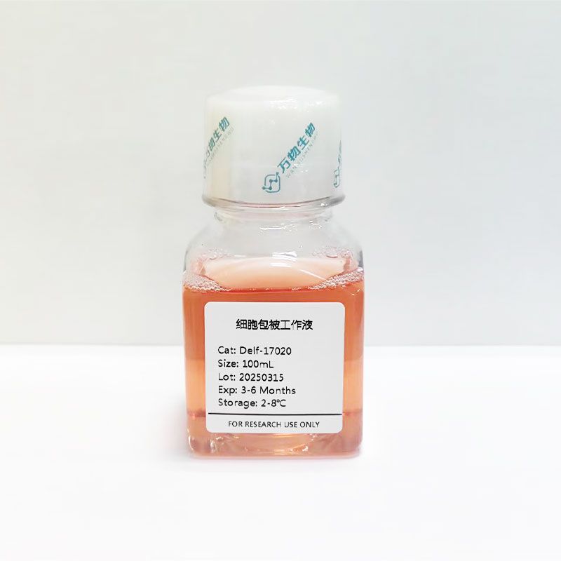 細(xì)胞包被工作液