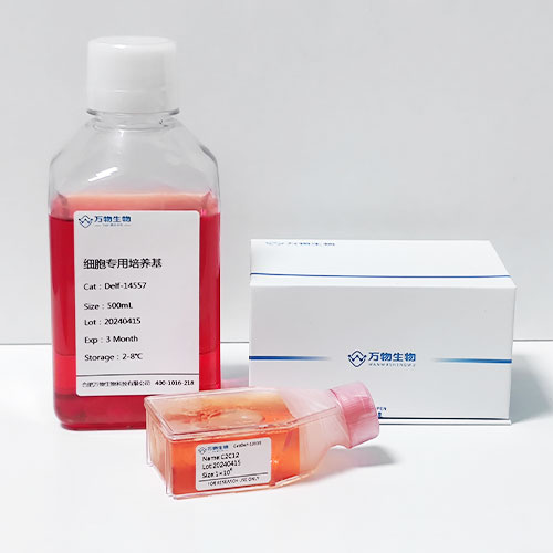 Delf間充質(zhì)干細(xì)胞成軟骨誘導(dǎo)分化試劑盒